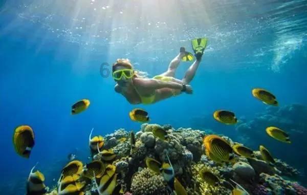 金融“活水”在民营经济发祥地欢快奔流